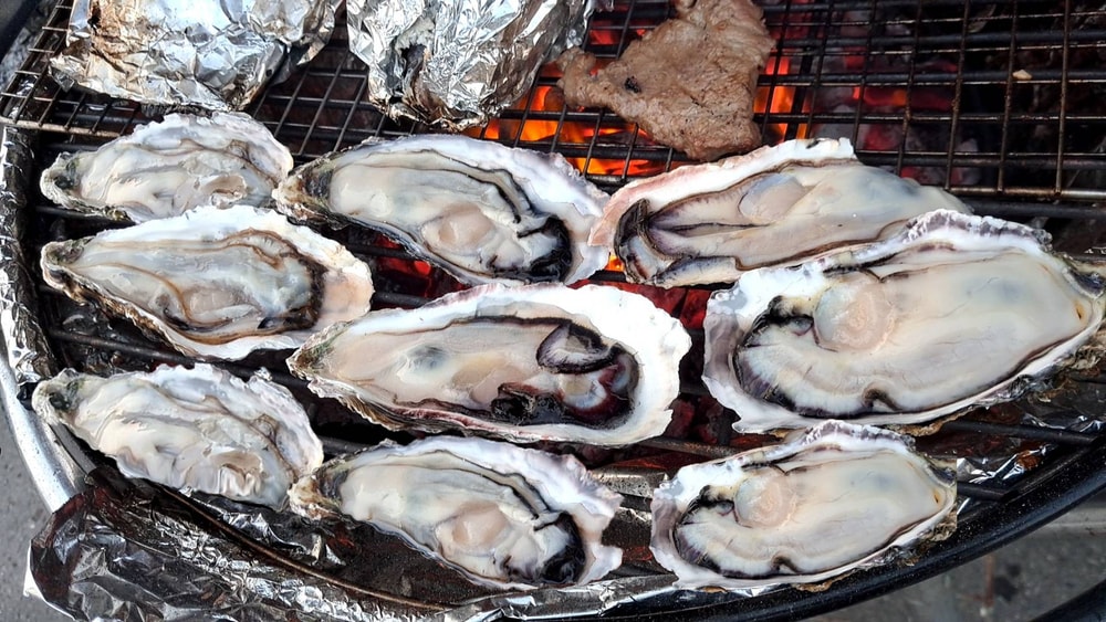 【五朝港水產】韓國半殼大生蠔 15公分 超澎拜30顆送15顆