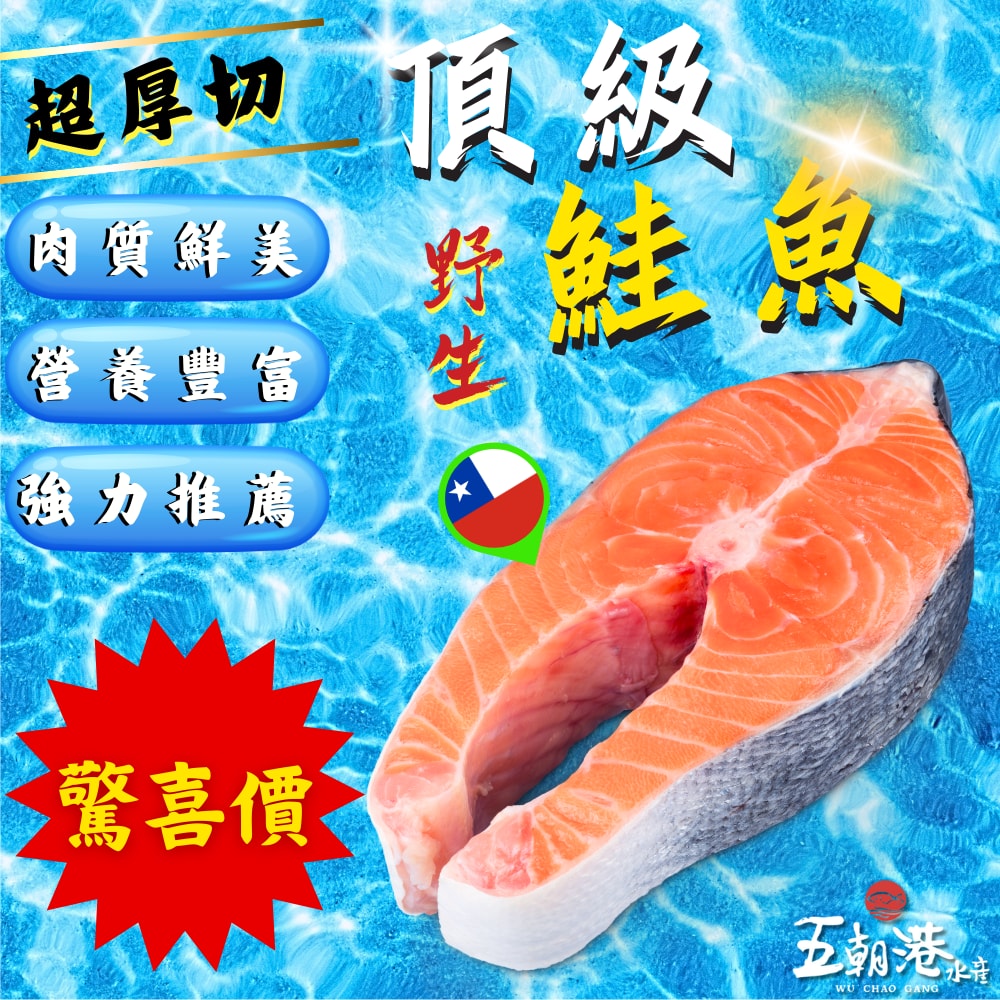 【五朝港水產】野生超厚切頂級鮭魚 滿足小鳥胃5片組(350克±10%/片)  共1750克