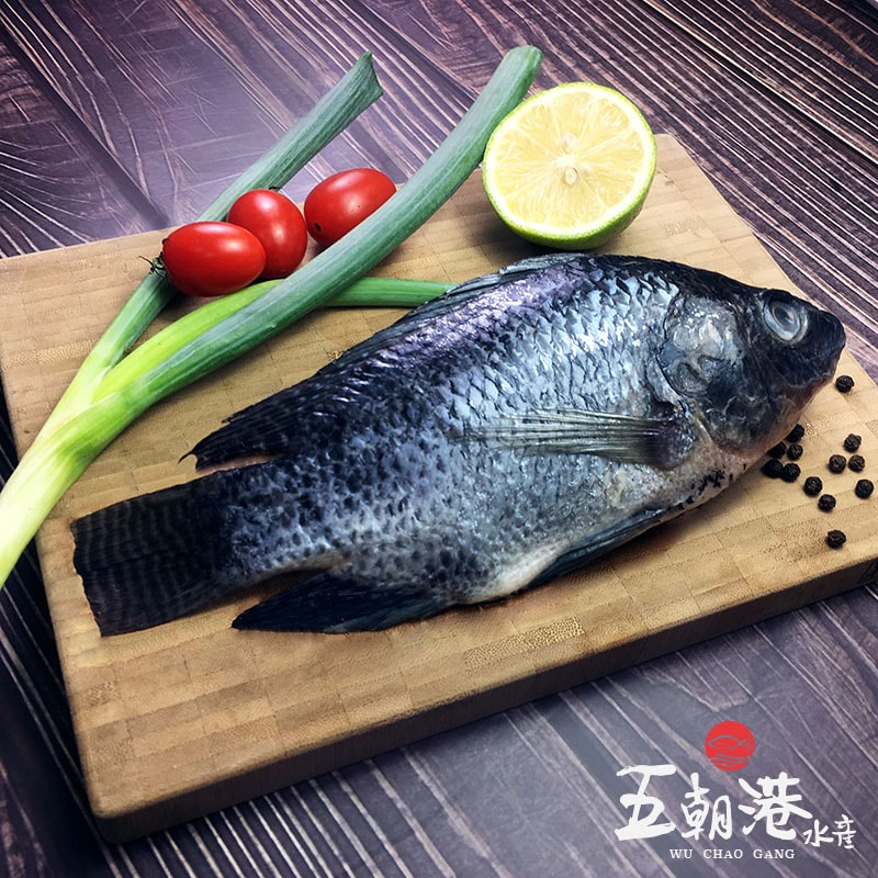 【五朝港水產】小家庭呷霸超值組-8件組 3~6人份 中秋烤肉 【白蝦、扇貝、龍蝦、小卷、鮭魚下巴、午仔魚一夜乾、台灣鯛、花枝丸、鹹豬肉】