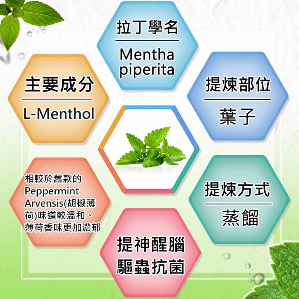 【Warm】單方純精油100ml-歐薄荷 森林浴系列