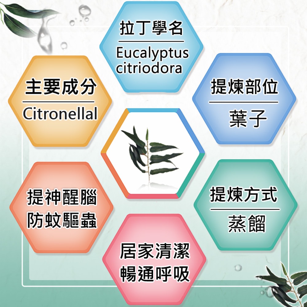 【Warm】單方純精油30ml-檸檬尤加利 森林浴系列