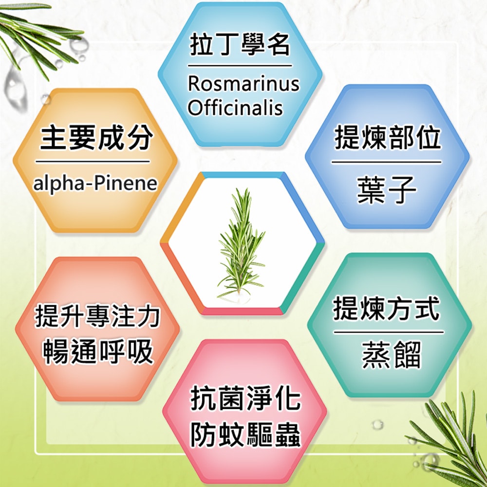 【Warm】單方純精油30ml-迷迭香 森林浴系列