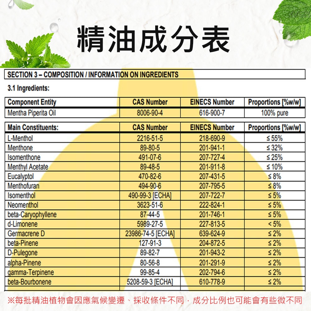 【Warm】單方純精油100ml-歐薄荷 森林浴系列