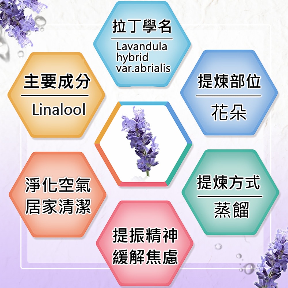 【Warm】單方純精油30ml-醒目薰衣草 森林浴系列