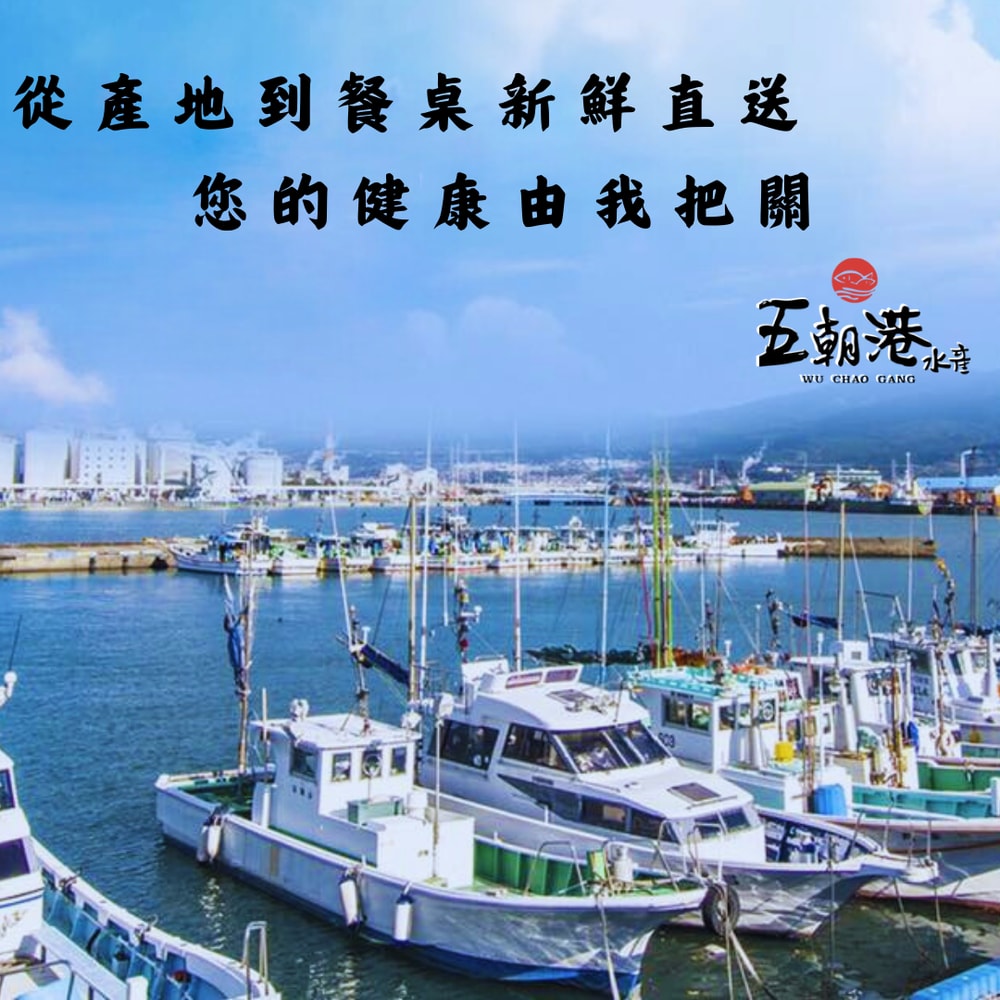 【五朝港水產】極鮮特優野生肉魚  嘗鮮五入組  已三去 (190克±5%/隻 ) 共950克±10%