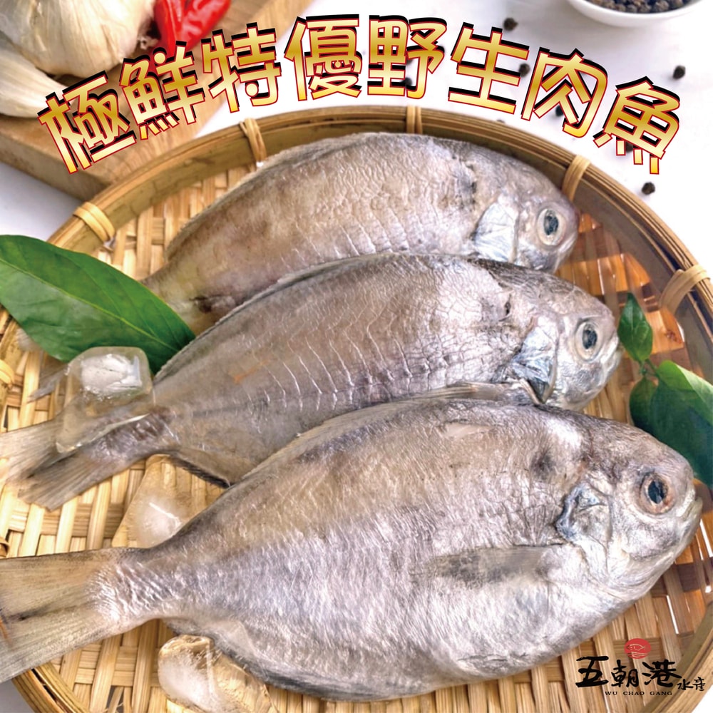【五朝港水產】極鮮特優野生肉魚  嘗鮮五入組  已三去 (190克±5%/隻 ) 共950克±10%