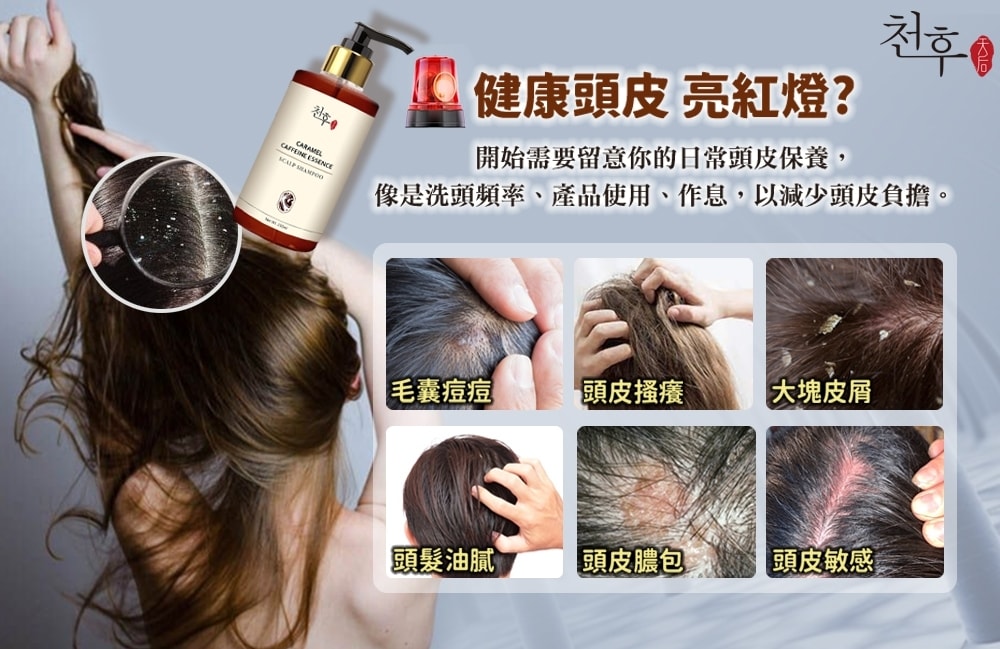 【天后】焦糖咖啡因頭皮護理洗髮精250ml-12瓶入