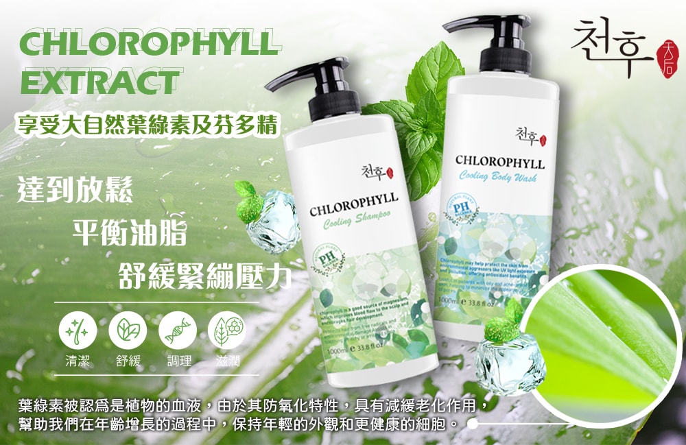 【天后】葉綠素涼感潔淨洗髮精/沐浴乳1000ml-6瓶入