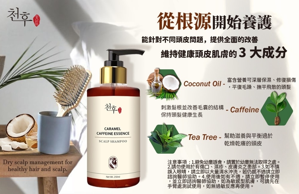【天后】焦糖咖啡因頭皮護理洗髮精250ml-12瓶入