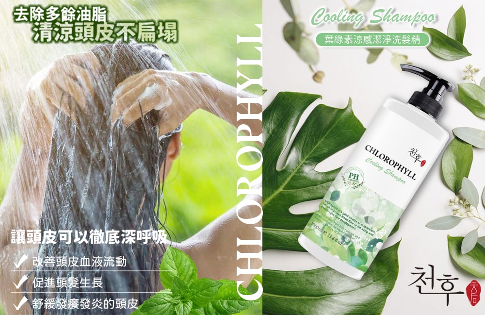 【天后】葉綠素涼感潔淨洗髮精/沐浴乳1000ml-6瓶入