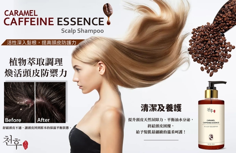 【天后】焦糖咖啡因頭皮護理洗髮精250ml-12瓶入