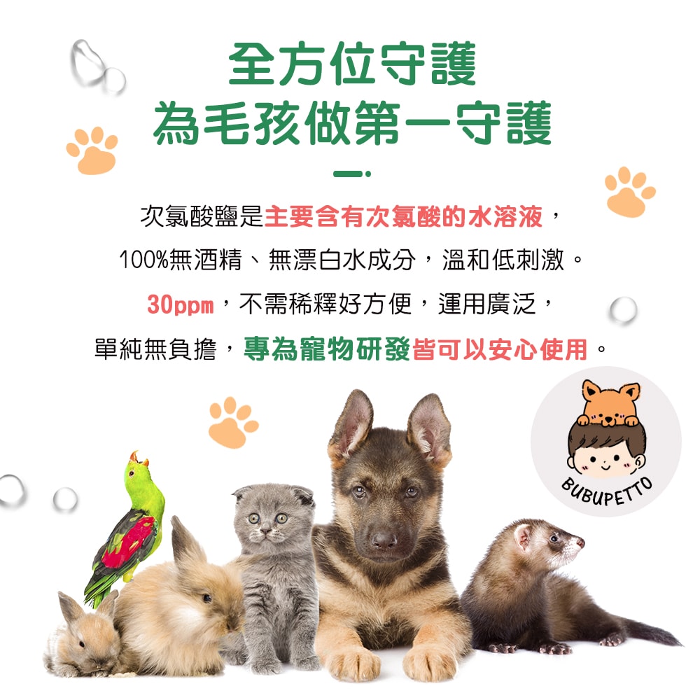 【BUBUPETTO】毛孩餐具用免稀釋次氯酸水-超值組6000mlx1組(毛小孩 寵物 餐碗)