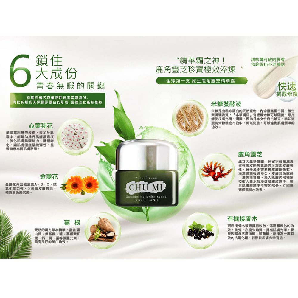【AiLeiYi】初冪 鹿角靈芝水感霜(30ml/瓶) (4入)
