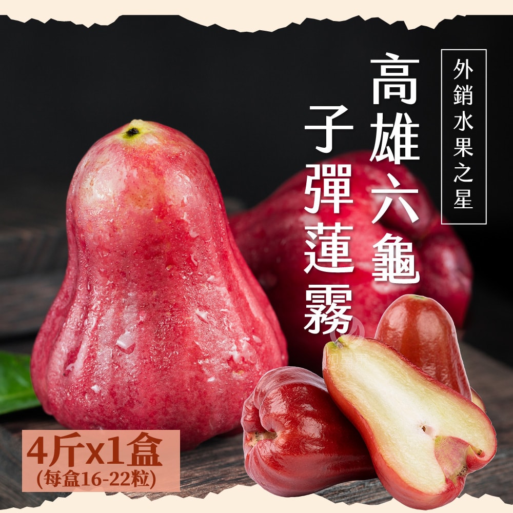 【初品果】高雄六龜子彈蓮霧禮盒4斤16-22粒x1盒 (下單後7個工作天開始出貨)