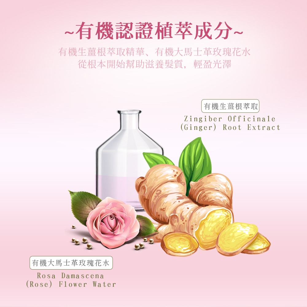【Petal Fresh】沛特斯 玫瑰生薑滋養洗髮精(475ml/16oz x3瓶)