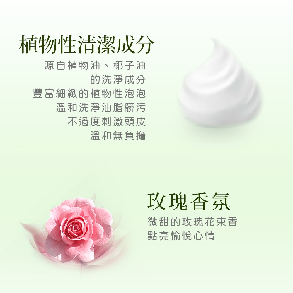 【Petal Fresh】沛特斯 玫瑰生薑滋養洗髮精(475ml/16oz x3瓶)