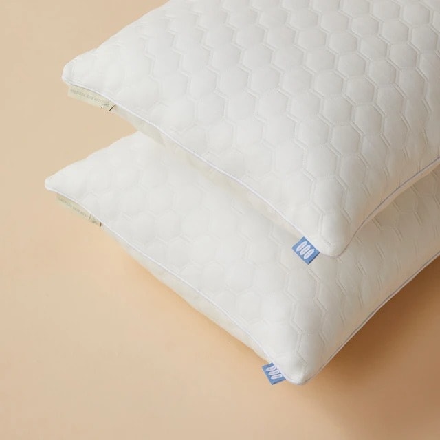 【Blue Bird Bedding 青鳥家居】全支撐枕頭(高枕1.3kg) 2入組