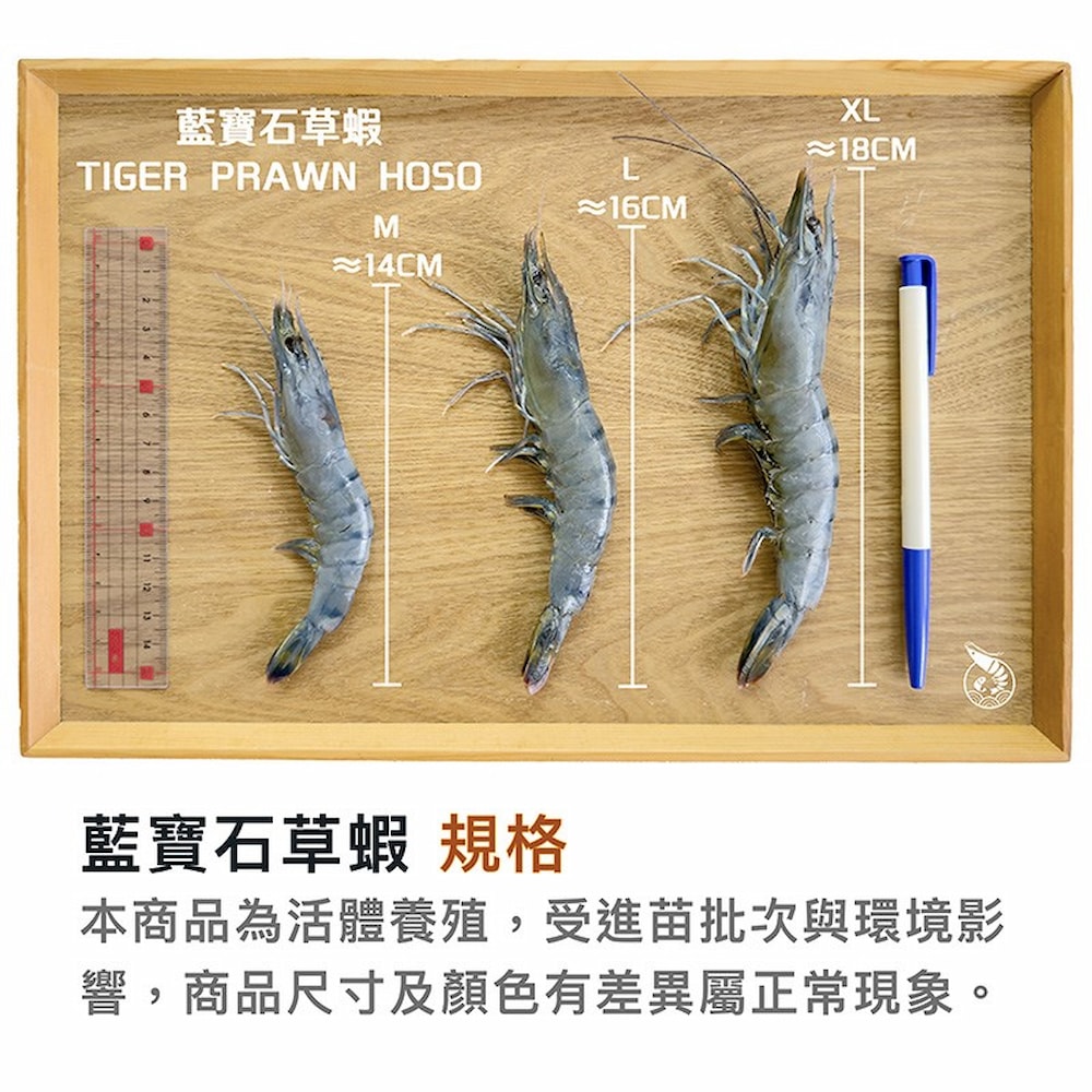 【一夫水產】藍寶石草蝦(L)-4入組(200g/7-10尾/入)
