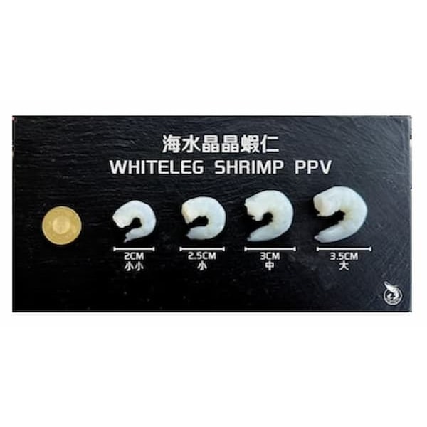 【一夫水產】海水晶晶蝦仁(特小)－10入組（100g/23-27顆/入）