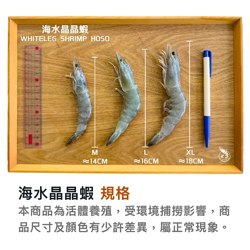 【一夫水產】海水晶晶蝦(L)－12入組（200g/7-10尾/入）