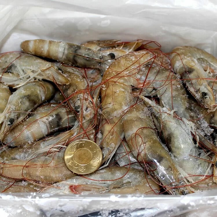 【披薩市】(十二盒)南美進口活凍白蝦《偏大隻高級品》800公克/盒(29-30隻)