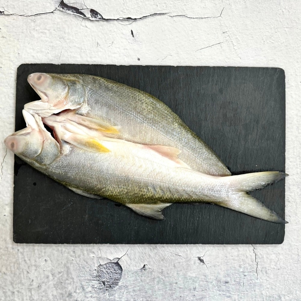 【五朝港水產】台灣鮮三寶 招財黃金鯧/紅杉魚  (450克±10%/隻)+台灣頂級午仔魚一夜干(200-250克/隻)+台南無刺虱目魚肚(130±5%/片)