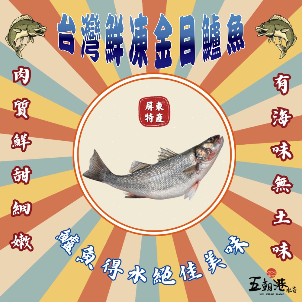 【五朝港水產】台灣鮮凍金目鱸魚 已三去 (300-400克/隻) 萬事鱸意6入組