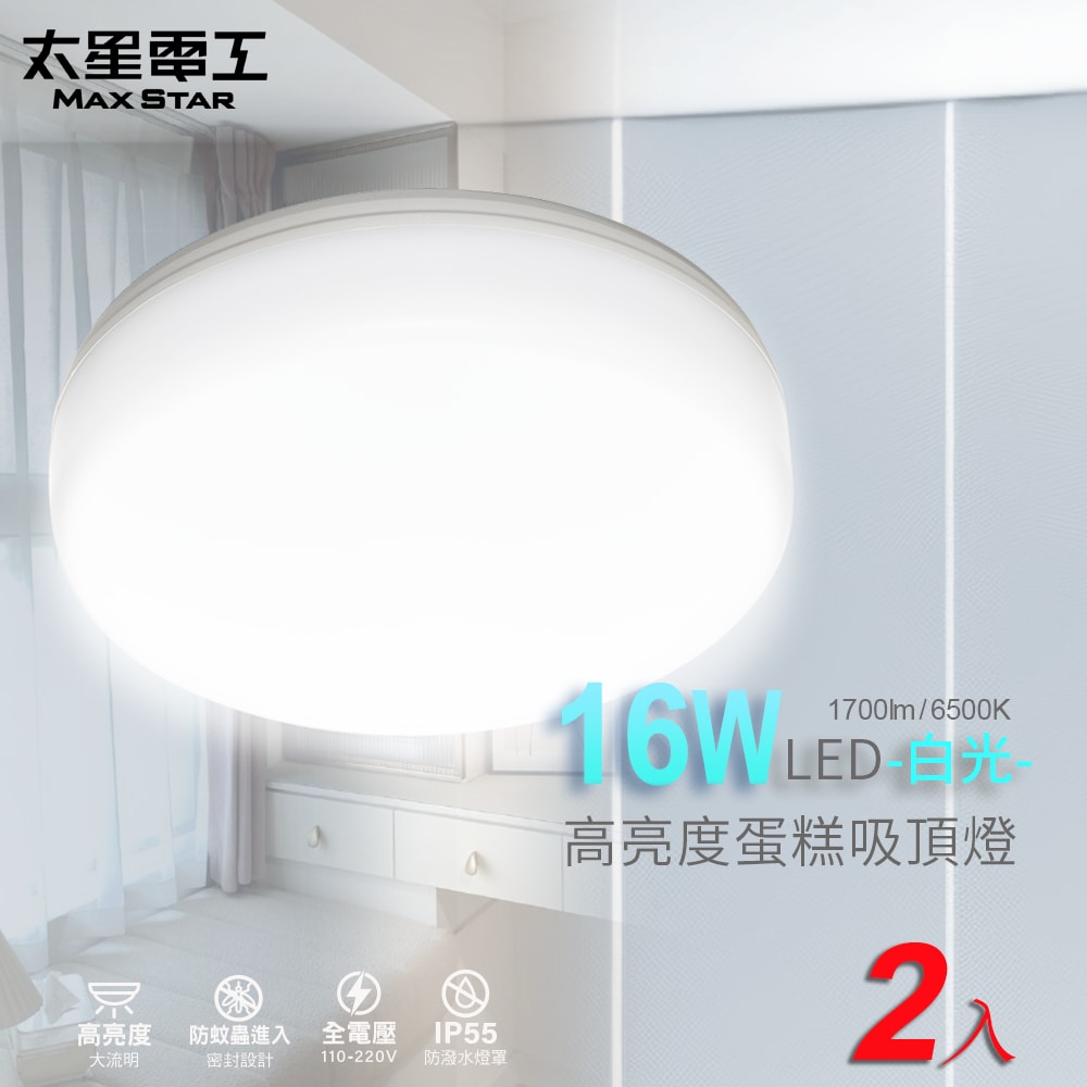 【太星電工】LED高亮度蛋糕吸頂燈16W/(白光/自然光/黃光) WHB916