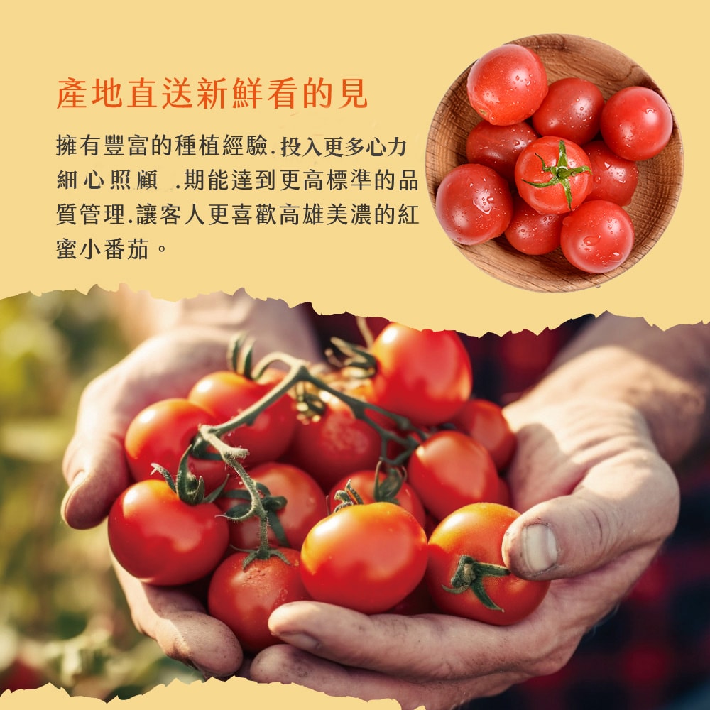 【初品果】美濃達哥紅蜜小番茄禮盒3斤x1盒(下單後7個工作天開始出貨)
