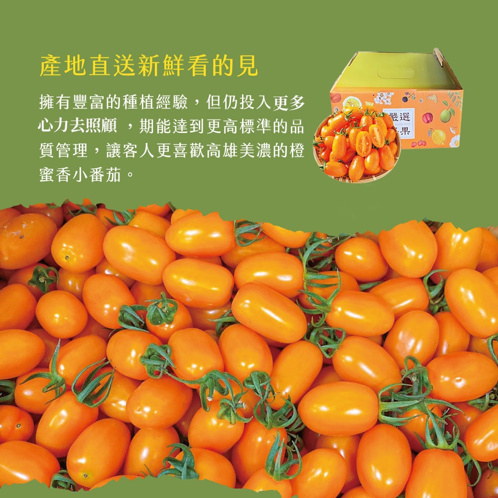 【初品果】美濃達哥橙蜜香小番茄4斤x4盒(下單後7個工作天開始出貨)