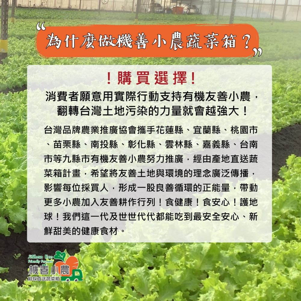 【機善小農】花蓮縣 蔬菜箱_經濟箱9件蔬菜箱(每週出箱)(有機友善/產地鮮採直送/支持家鄉好農產)