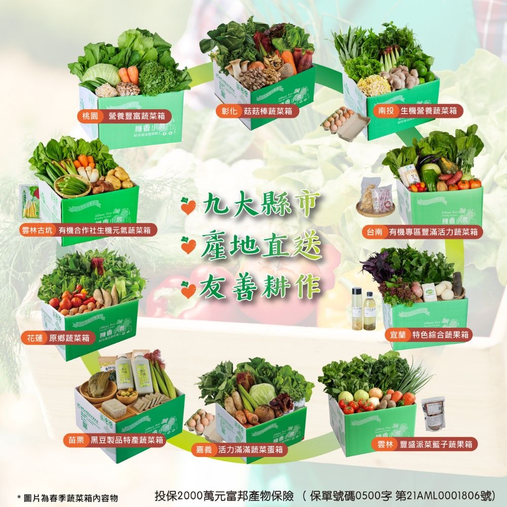 【機善小農】花蓮縣 蔬菜箱_經濟箱9件蔬菜箱(每週出箱)(有機友善/產地鮮採直送/支持家鄉好農產)