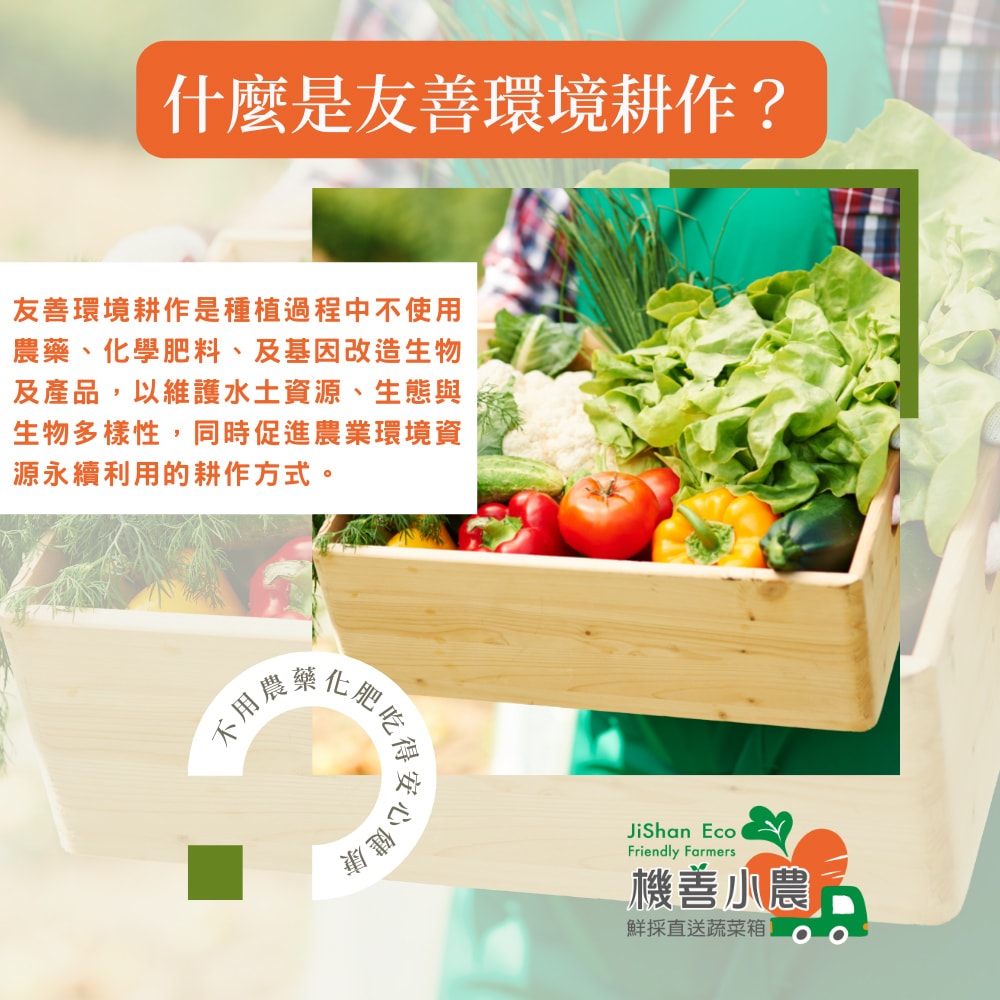 【機善小農】花蓮縣 蔬菜箱_經濟箱9件蔬菜箱(每週出箱)(有機友善/產地鮮採直送/支持家鄉好農產)