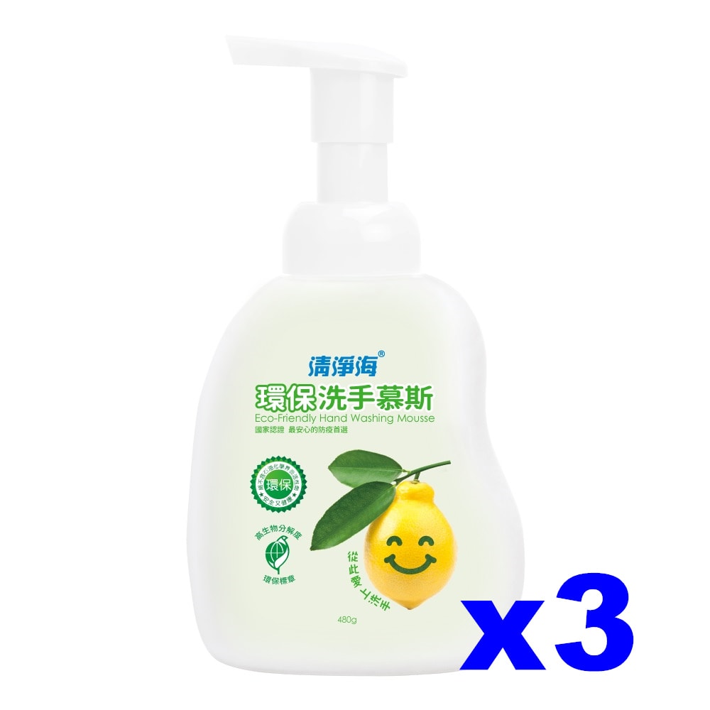 【清淨海】環保洗手慕斯480g*3入