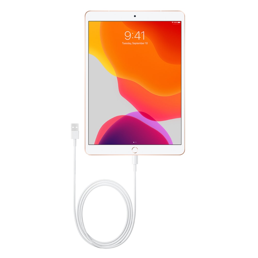 【INNI ZONE】Apple副廠 iPad系列 Lightning to USB-A 連接線-1M (密封裝)