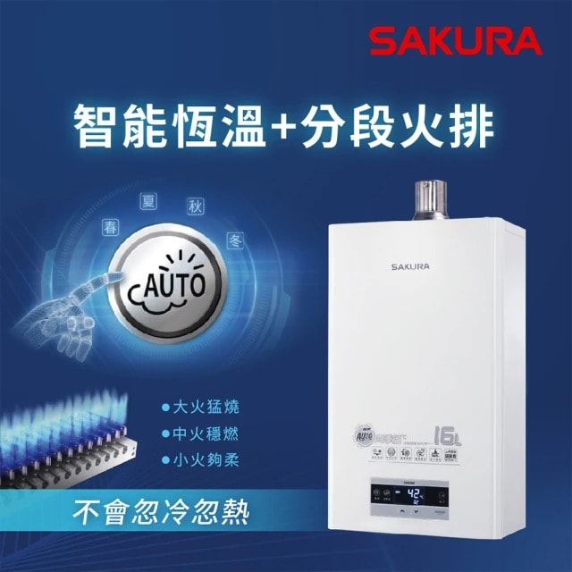 【櫻花牌】16L 四季溫渦輪增壓熱水器DH1693F(基本安裝原廠保固)