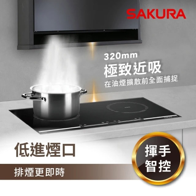 【SAKURA 櫻花】近吸除油煙機-近吸隱藏系列-全隱藏R7301(基本安裝原廠保固)