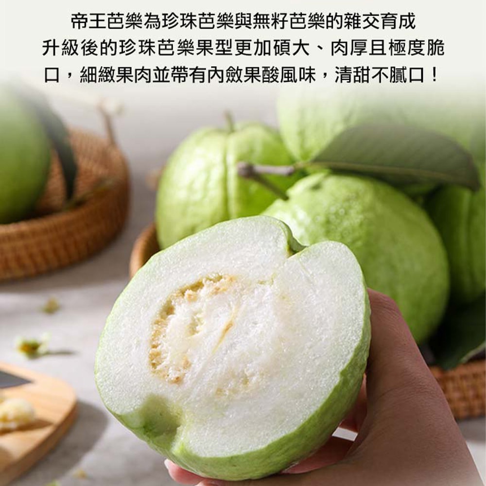 【愛上新鮮】溪州帝王芭樂x1箱(約8~10顆/5台斤/箱_冷藏) 產地直送 預購 下單後約14個工作天左右出貨