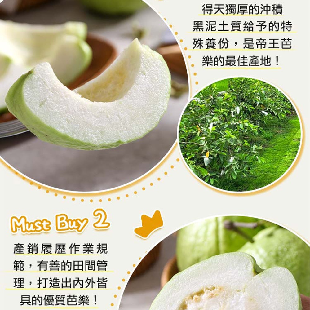 【愛上新鮮】溪州帝王芭樂x1箱(約8~10顆/5台斤/箱_冷藏) 產地直送 預購 下單後約14個工作天左右出貨