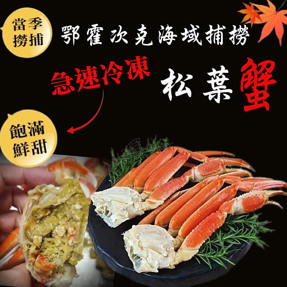【海之醇】日本北海道熟凍整隻正松葉蟹-1隻(500-600g/隻)