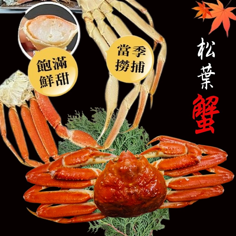 【海之醇】日本北海道熟凍整隻正松葉蟹-1隻(500-600g/隻)