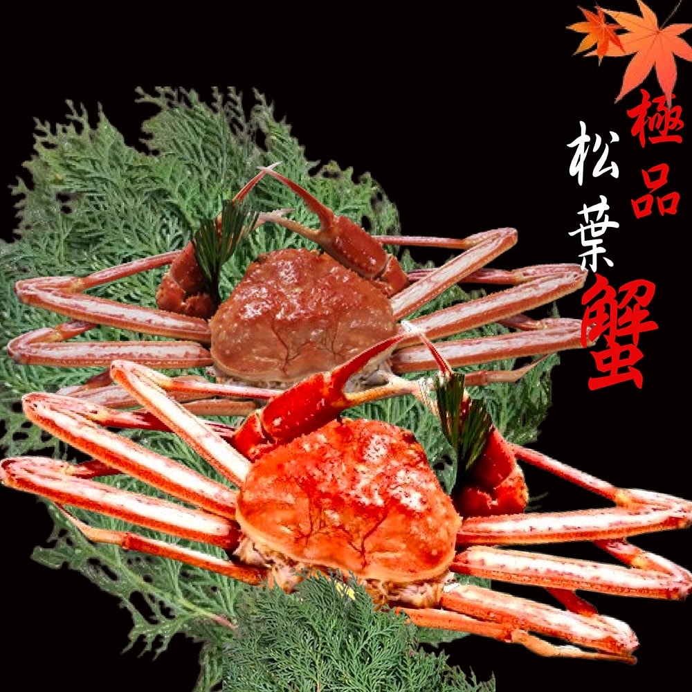 【海之醇】日本北海道熟凍整隻正松葉蟹-1隻(500-600g/隻)