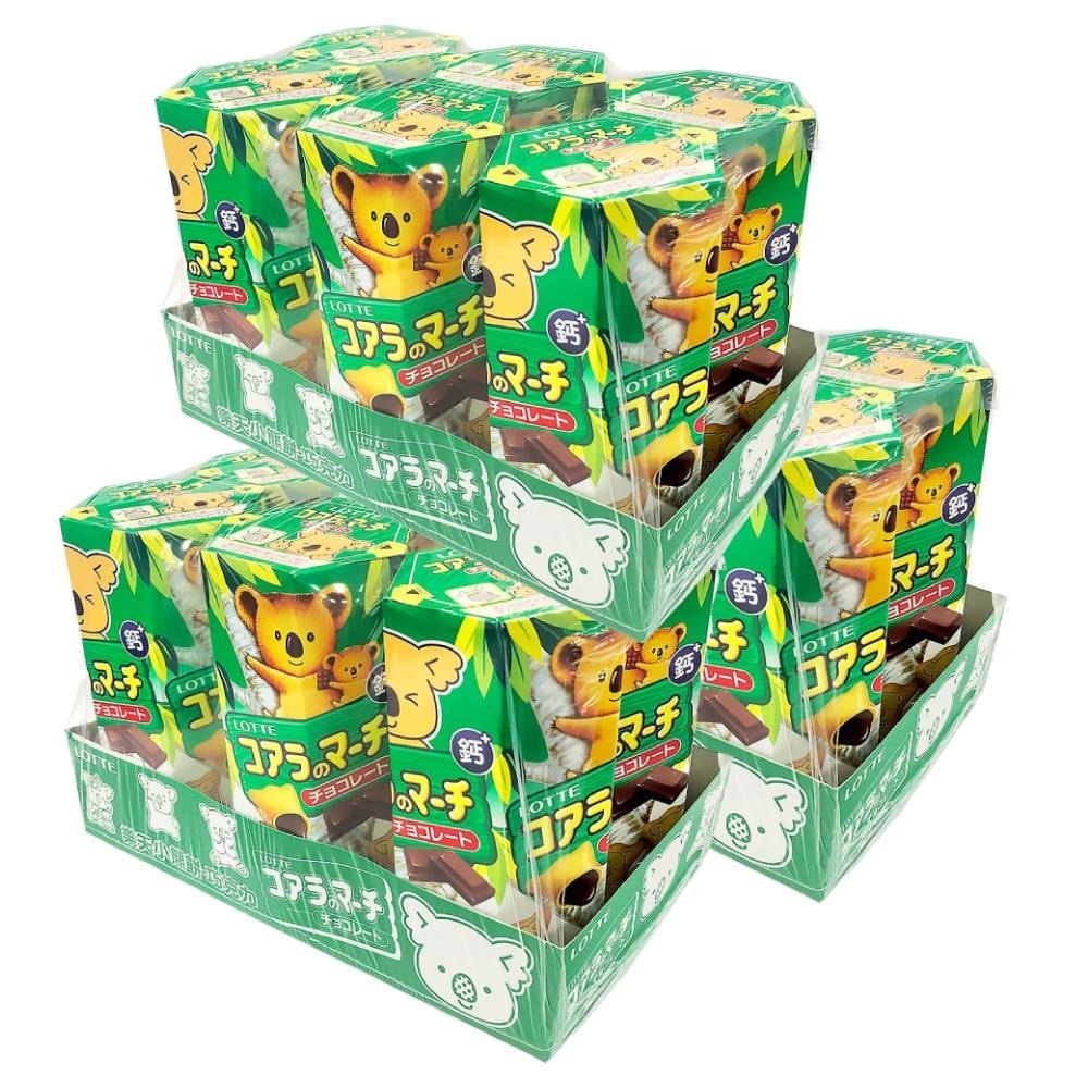 【Lotte 樂天】小熊餅-巧克力風味x3組(37gx6/組)