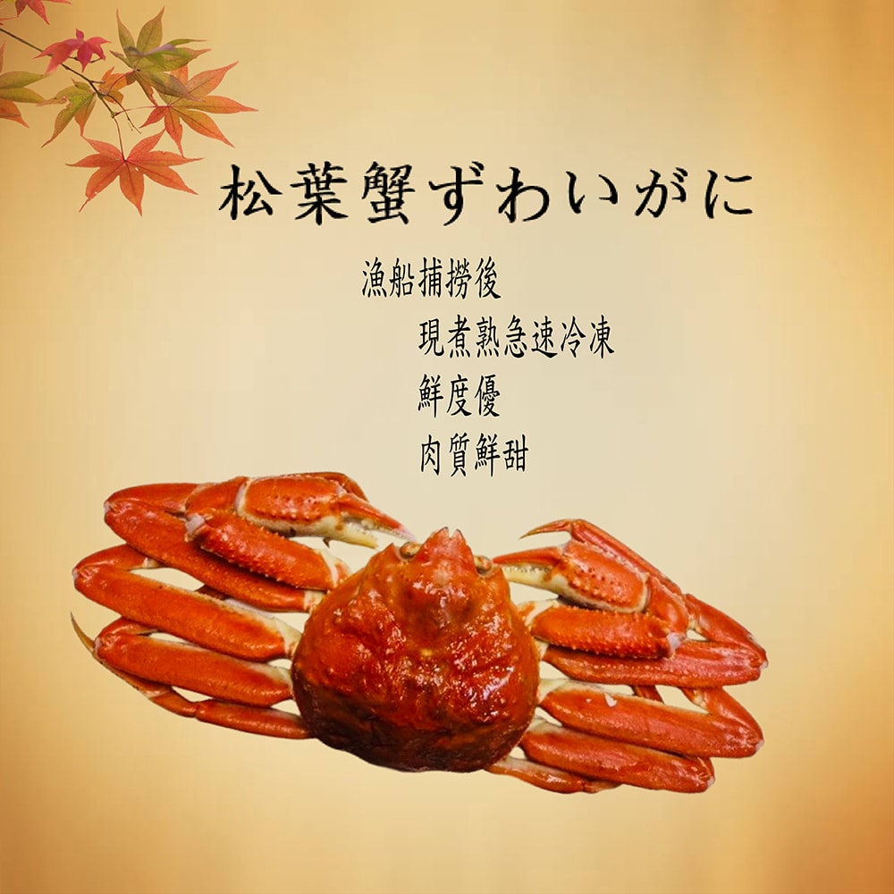 【海之醇】日本北海道熟凍整隻正松葉蟹-1隻(500-600g/隻)