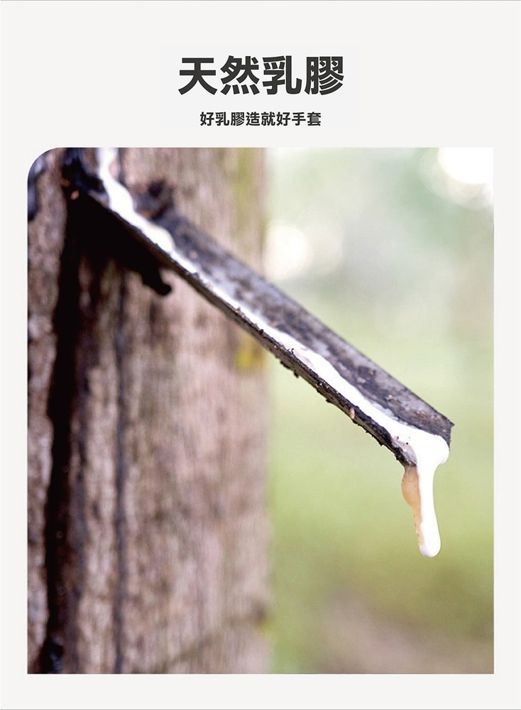 【鮮拾嚴選】家務清潔手套(3雙/包) 3包/組