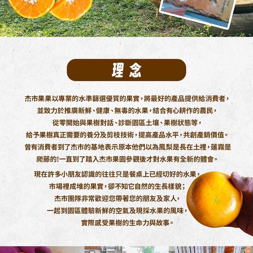 【杰市優果】買一送一,茂谷柑5台斤(25號) (5台斤/箱),共2箱(年節/水果禮盒)