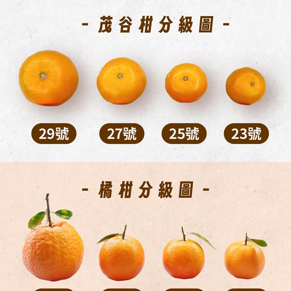 【杰市優果】買一送一,茂谷柑5台斤(25號) (5台斤/箱),共2箱(年節/水果禮盒)