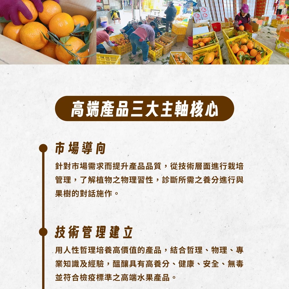 【杰市優果】買一送一,茂谷柑5台斤(25號) (5台斤/箱),共2箱(年節/水果禮盒)