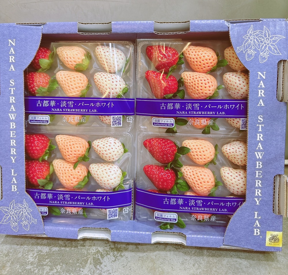 【帕查嬤嬤】🇯🇵日本 奈良 稀有品種 三色草莓 小包裝 9玉|日本草莓禮盒