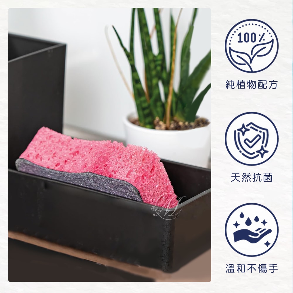 【abrazo】(4入組)德國abrazo烤箱清潔皂刷海綿（2入/盒）